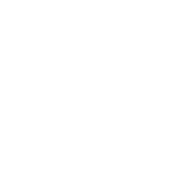 Advertiser Icon