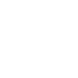 Publisher Icon